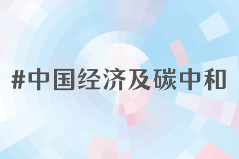 2023年中国经济及碳中和最新动向研讨会